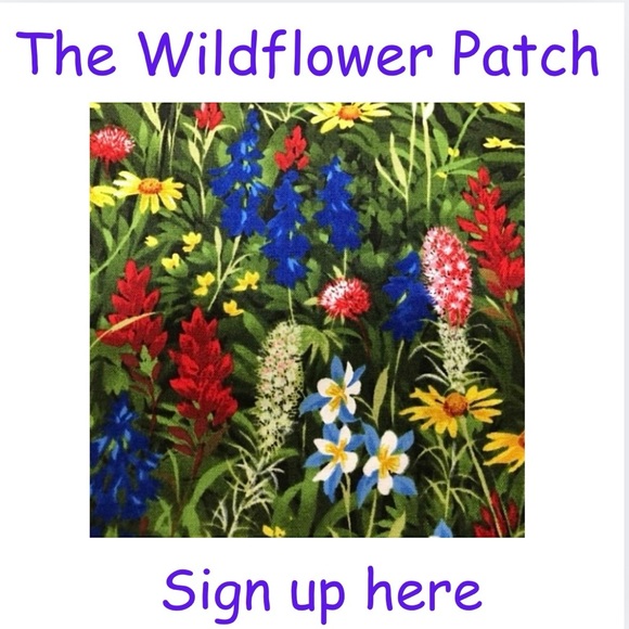 Other - 💐3/2-3/8💐9 Wildflowers!💐